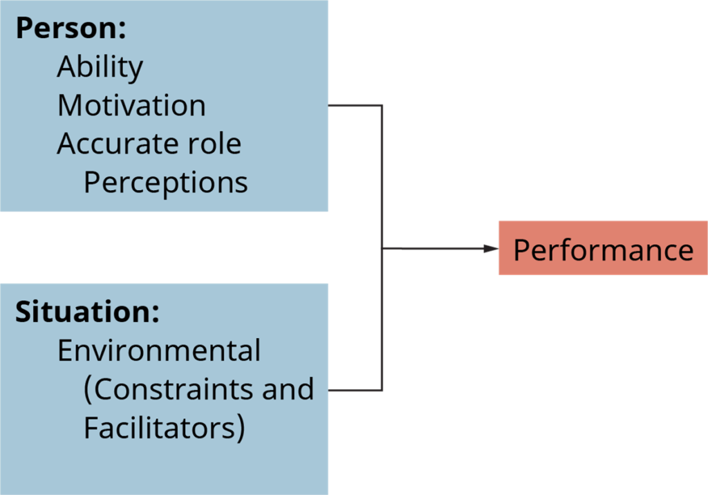 Person and Situation Determinants of Performance