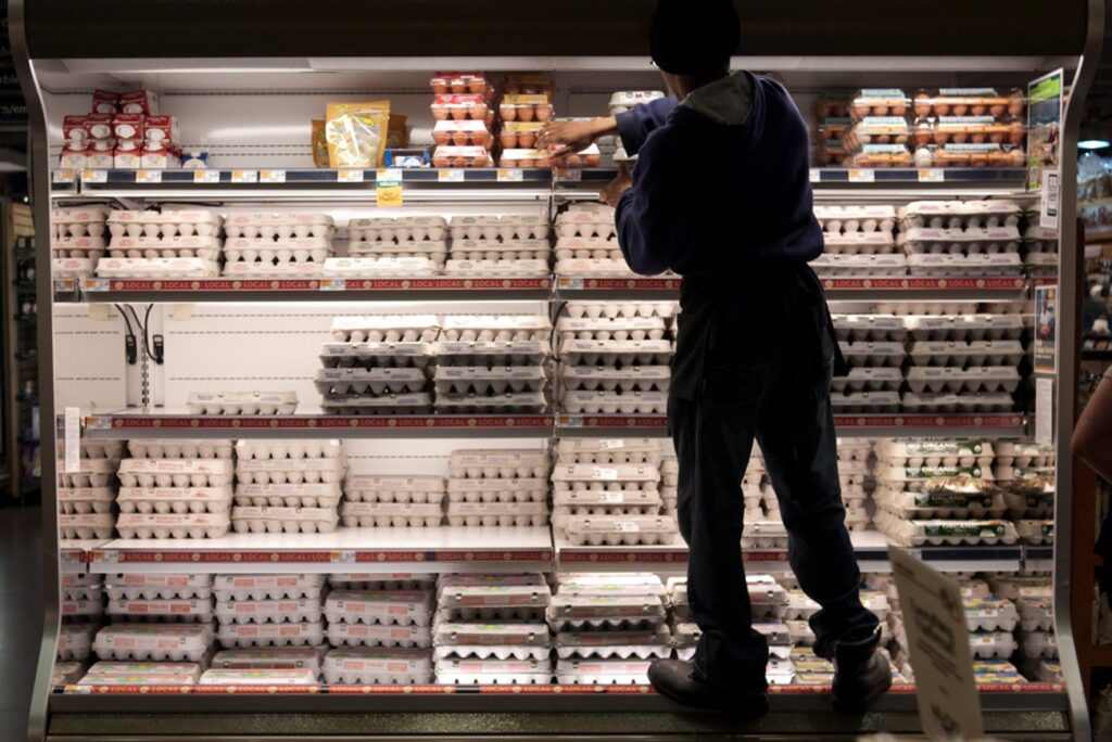 A worker stacks eggs on the shelves at a supermarket