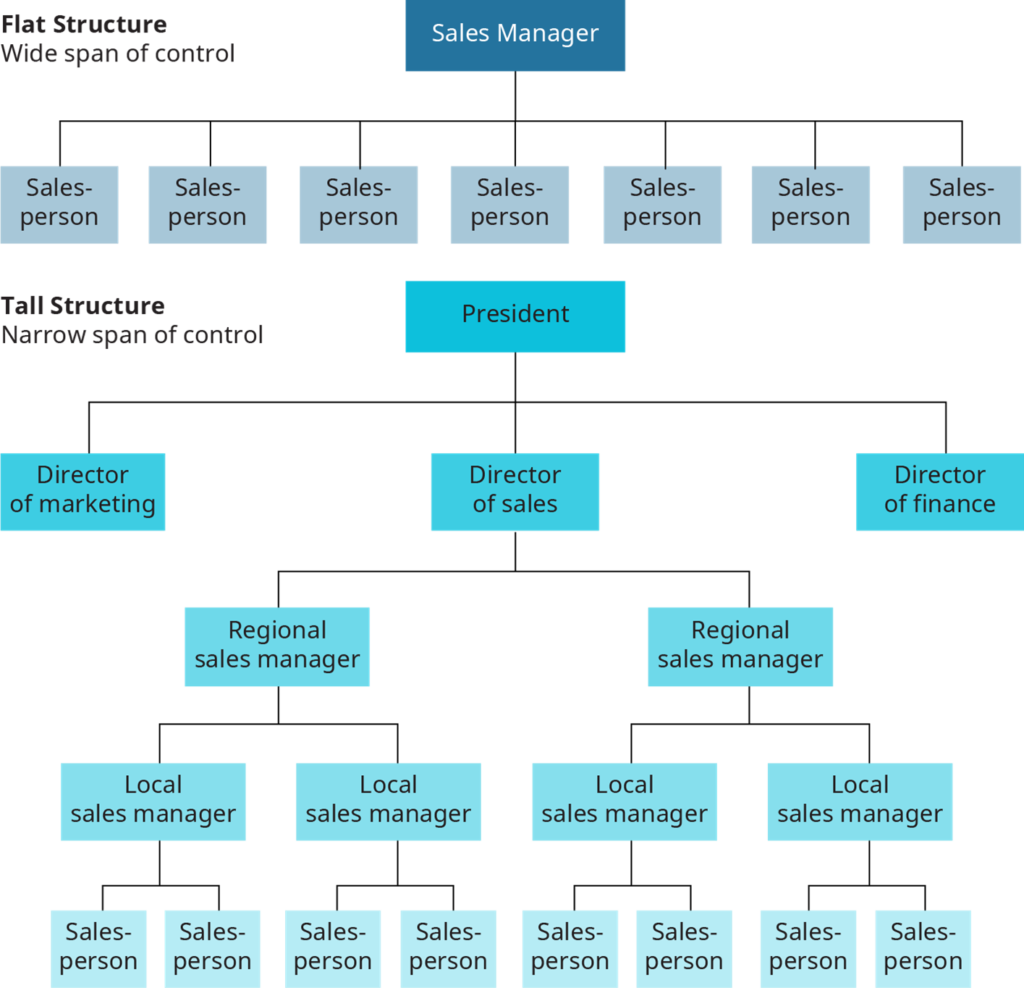 Flat versus Tall Organizational Structures