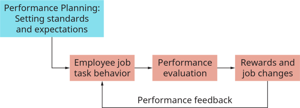 Performance Planning Evaluation