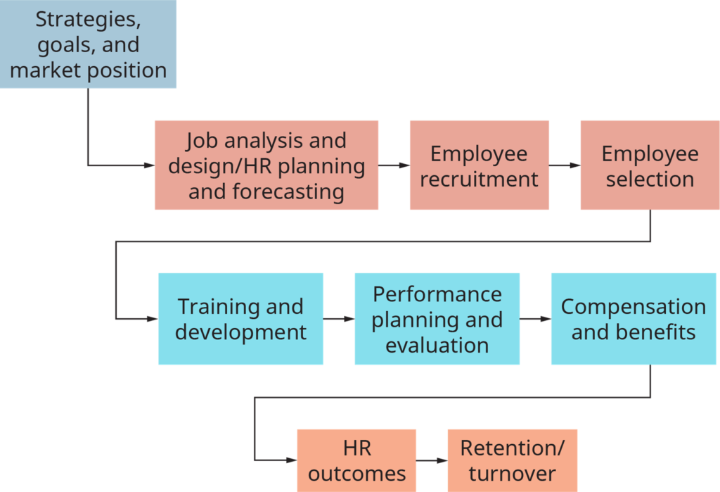 Human Resource Management Process