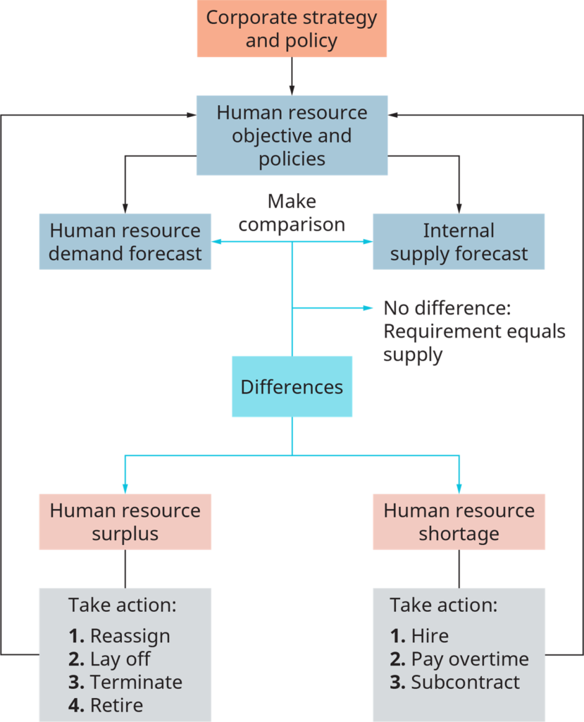 Planning and Forecasting for the HR Process