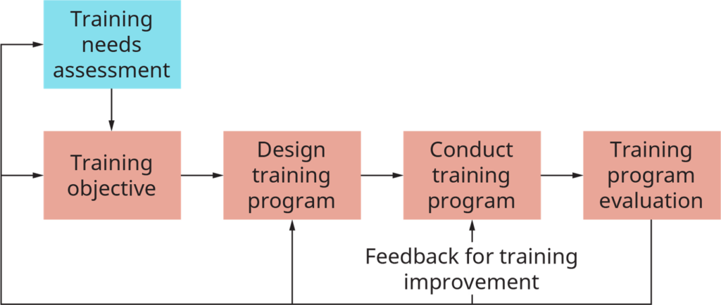 Employee Training and Development Process