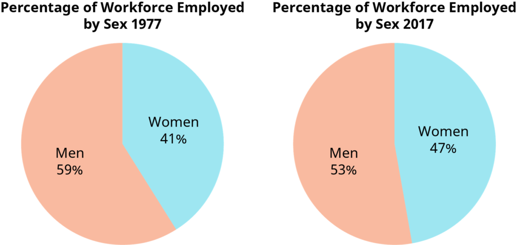 Pie Chart distribution of labor force by sex 1977 to 2017